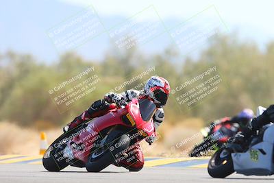 media/Oct-05-2024-Race Pace (Sat) [[aa7b44e117]]/8-Turn 7 (1110am)/